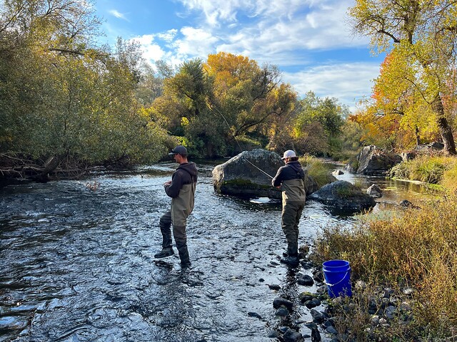 Angling Survey