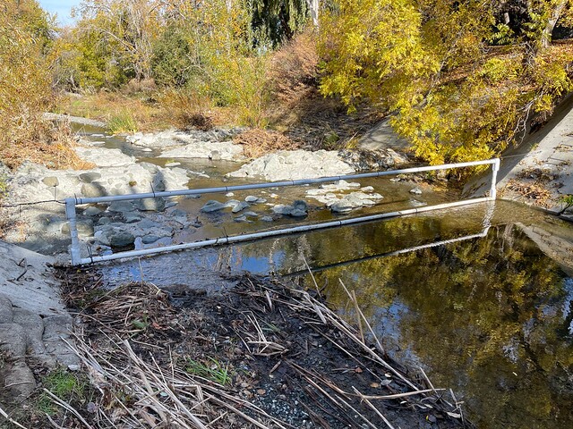 Pass-through PIT Tag Antenna