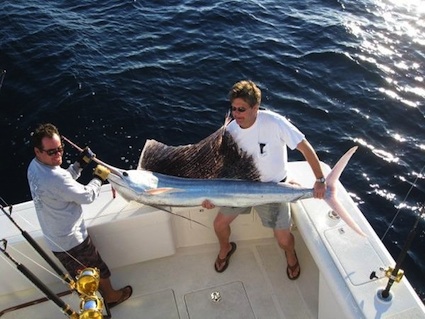 albino-sailfish_sm