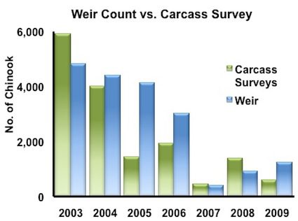 weir-vs-carcass weir-vs-carcass
