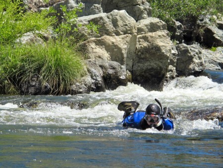 snorkel survey