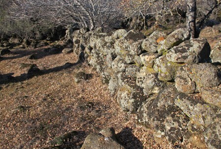 Stone Wall