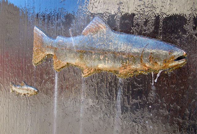 Salmon Hatchery