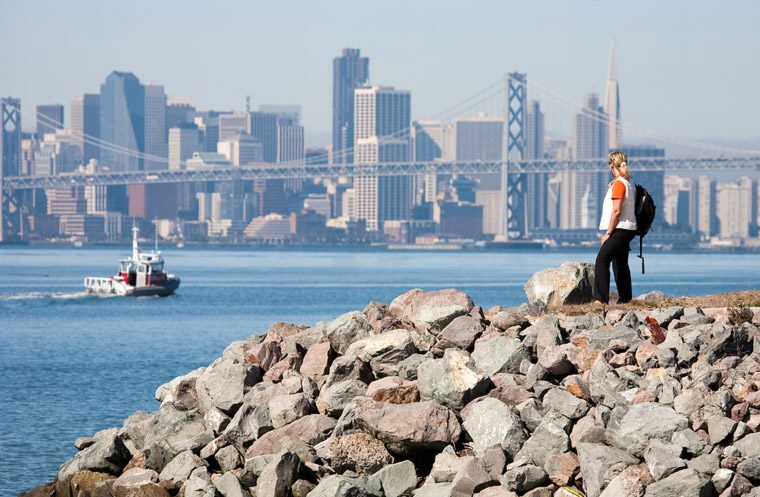 San Francisco Cityscape