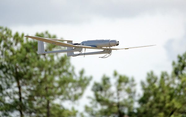 Drones monitor wildlife