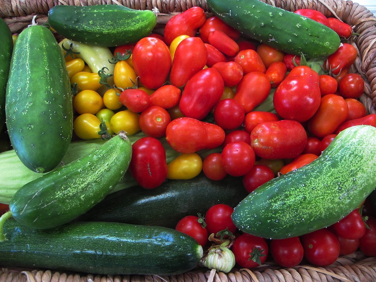 Garden harvest tomatoes cucumbers