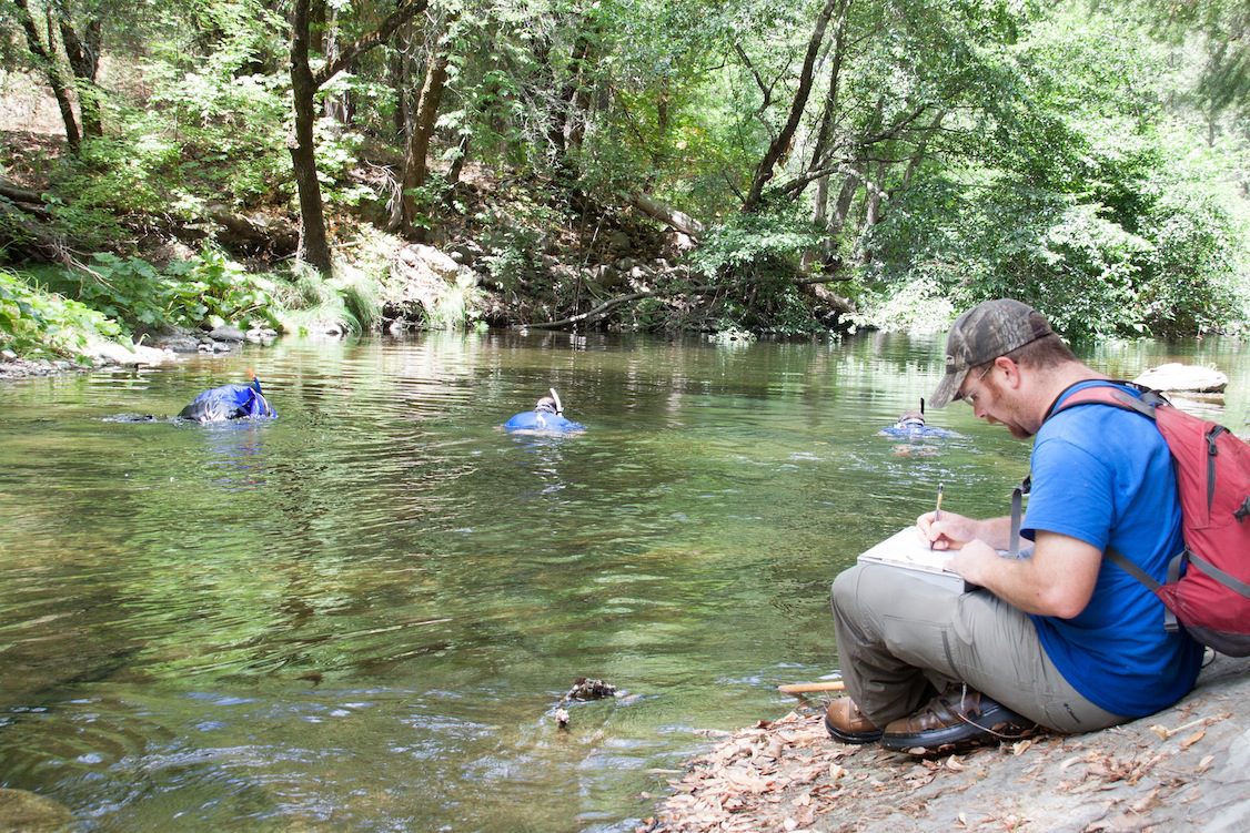 Big Chico Creek Summer Survey