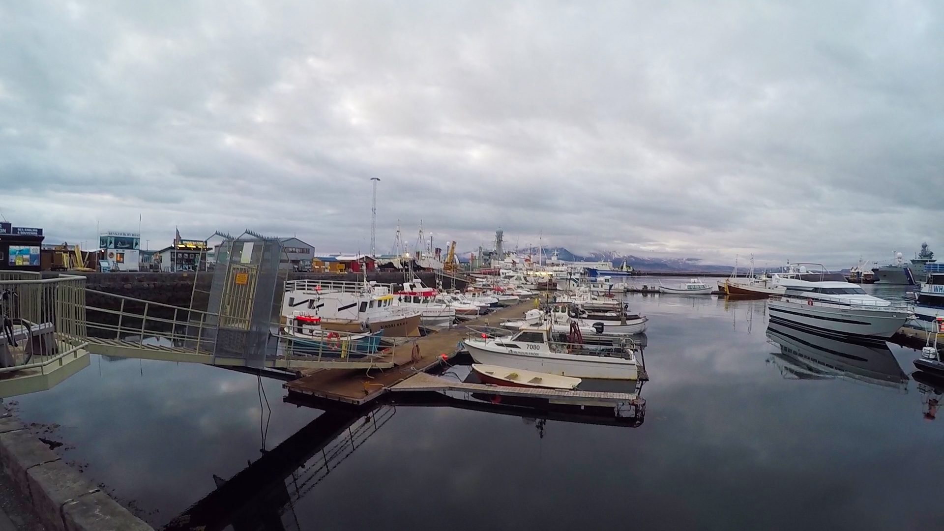 Boats in harbor