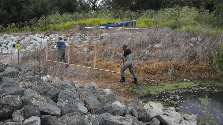 Field testing the model array