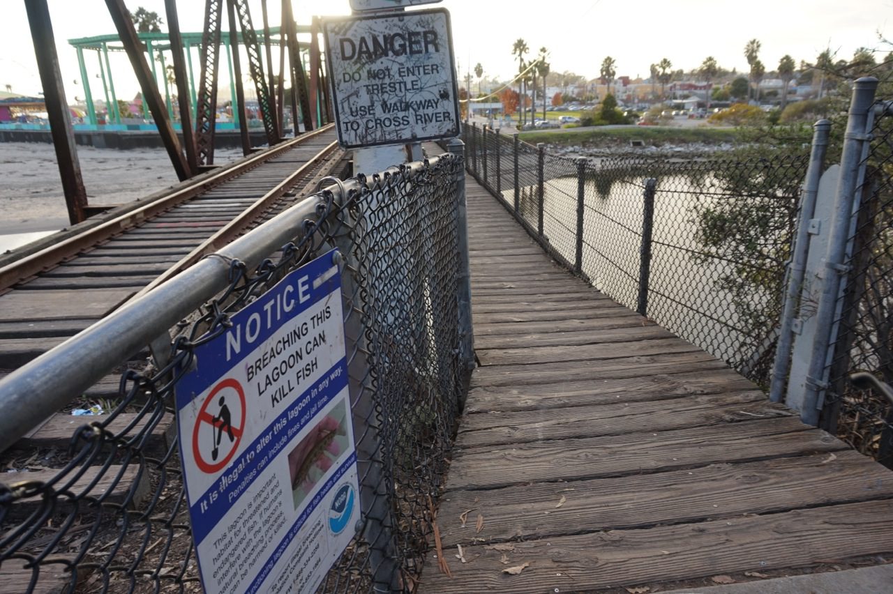 Fish warning sign