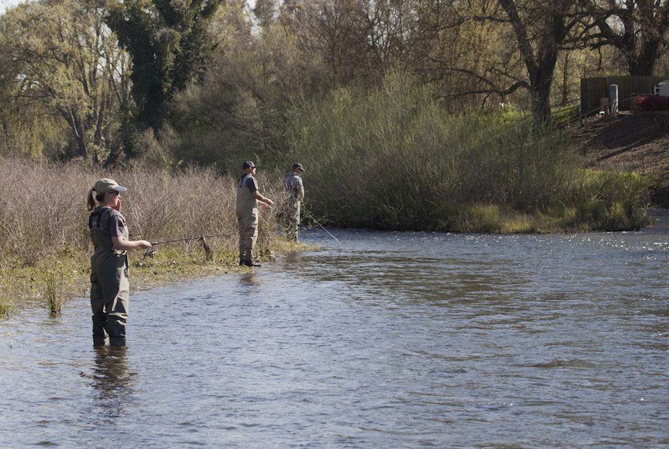 recreational-fishing