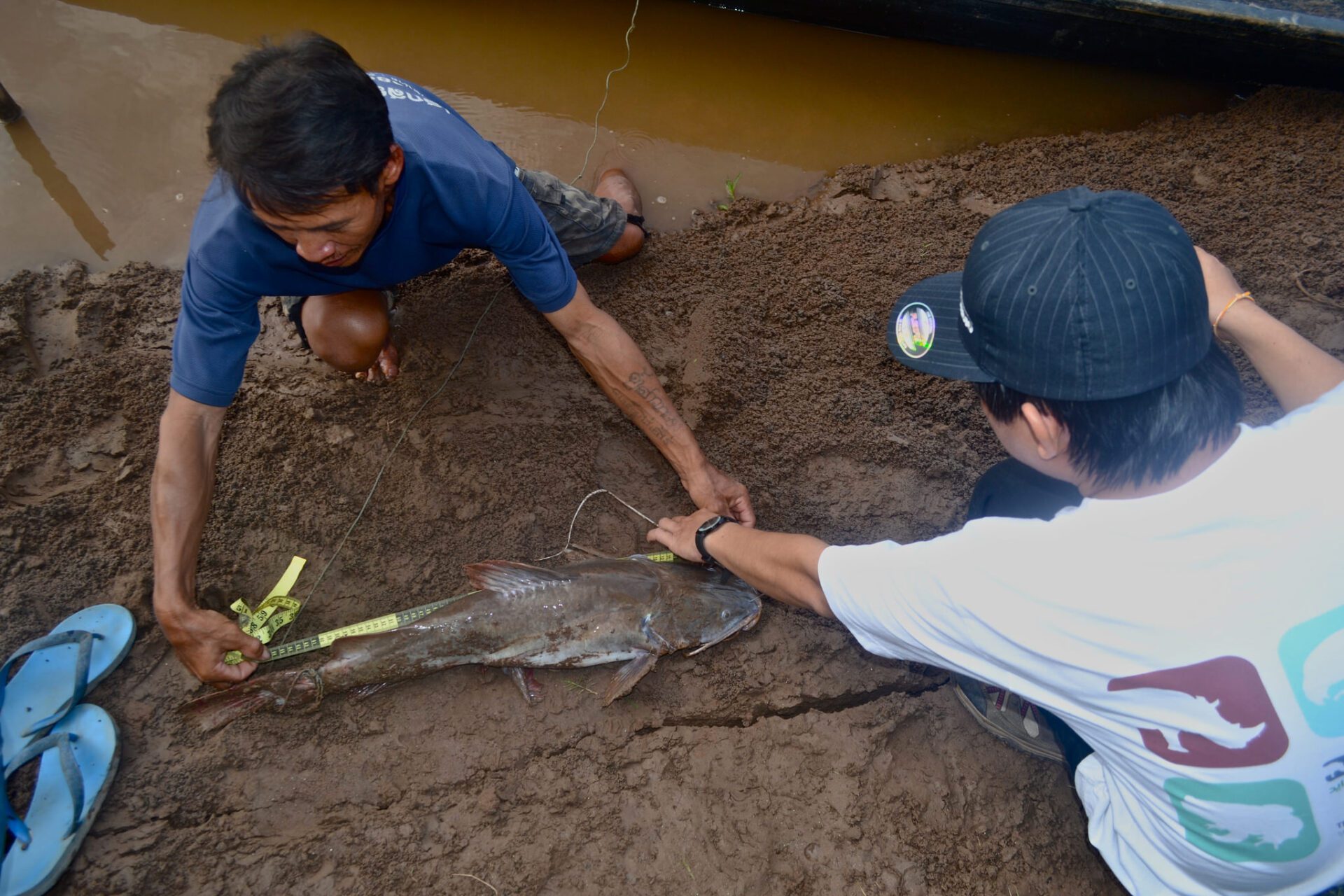 Measuring Catch