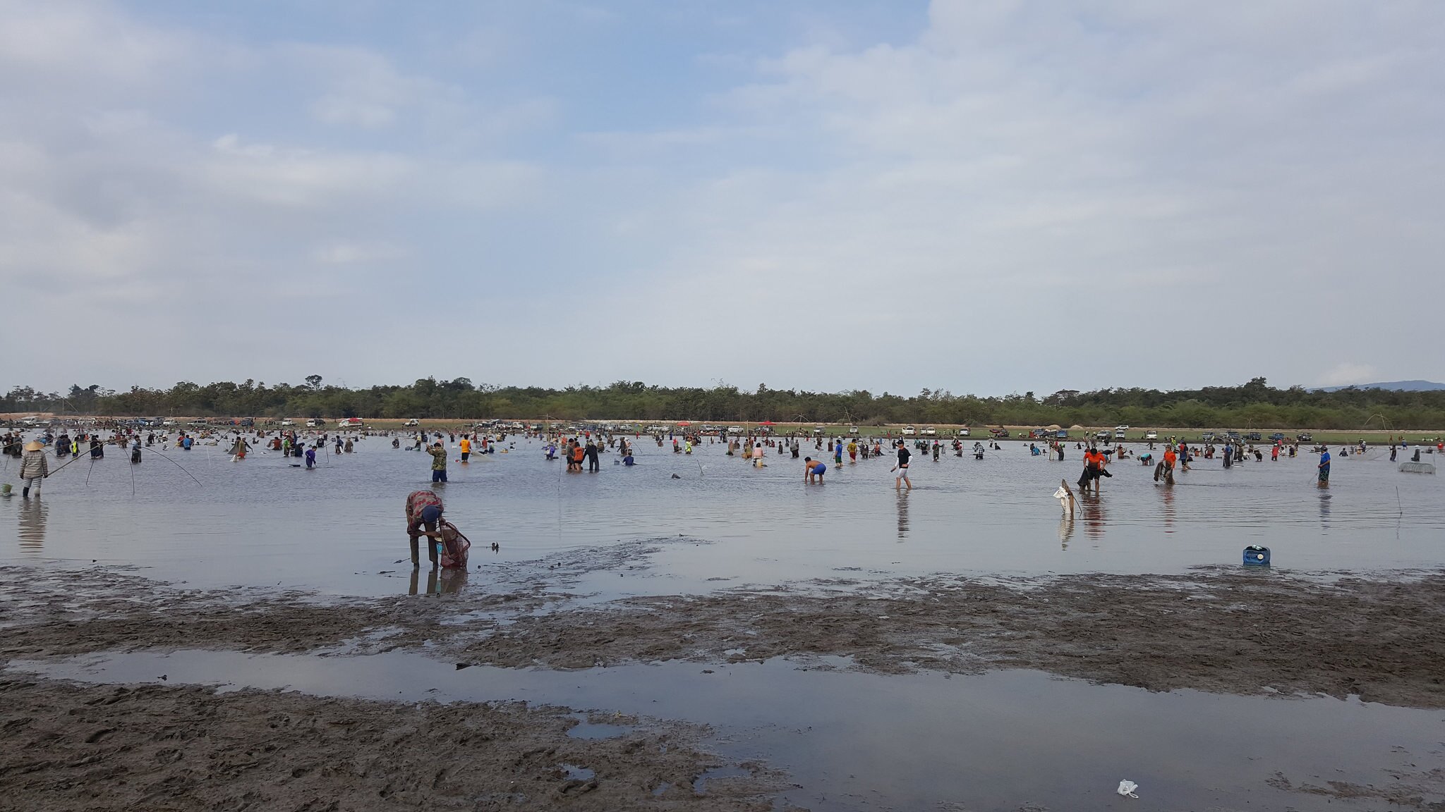 Community fishing day crowd