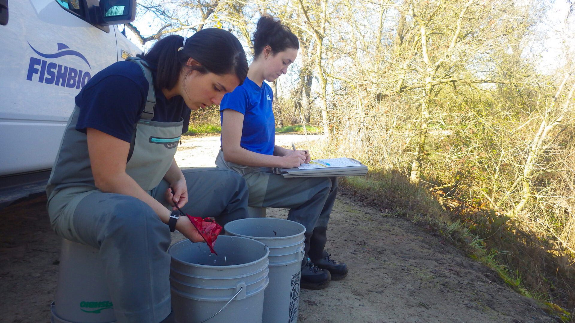 Counting fish from a rotary screw trap - women in fisheries science
