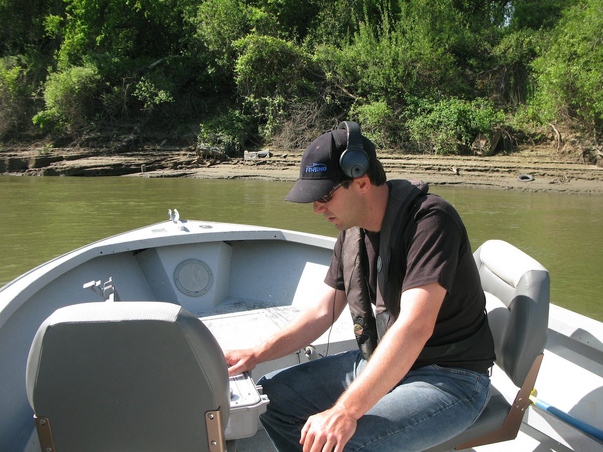 Listening to hydrophones