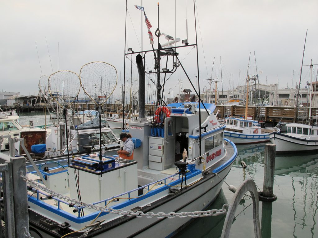 Fishing Boats