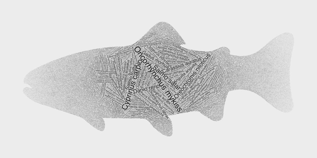 Interesting Fish Word Cloud