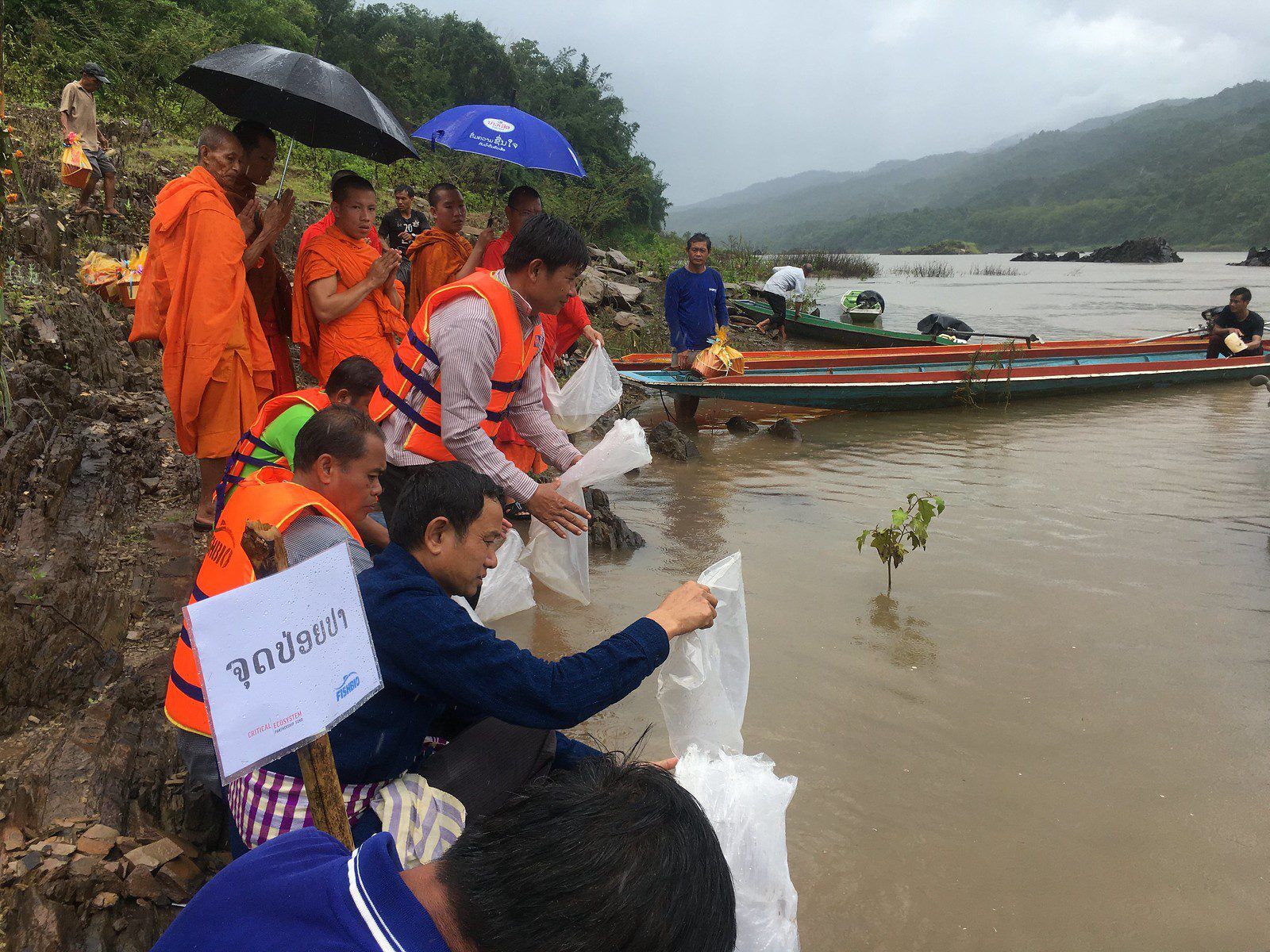 Fish release FCZ blessing ceremony Laos