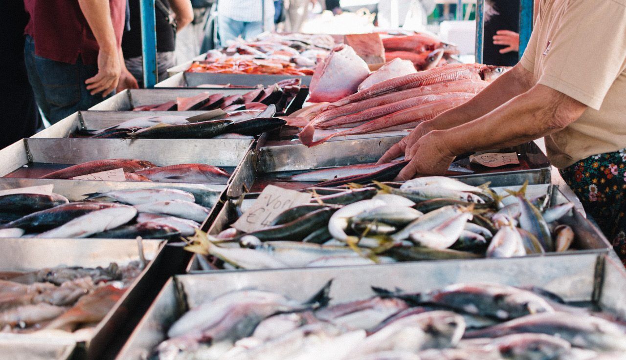 Shopping at fish market