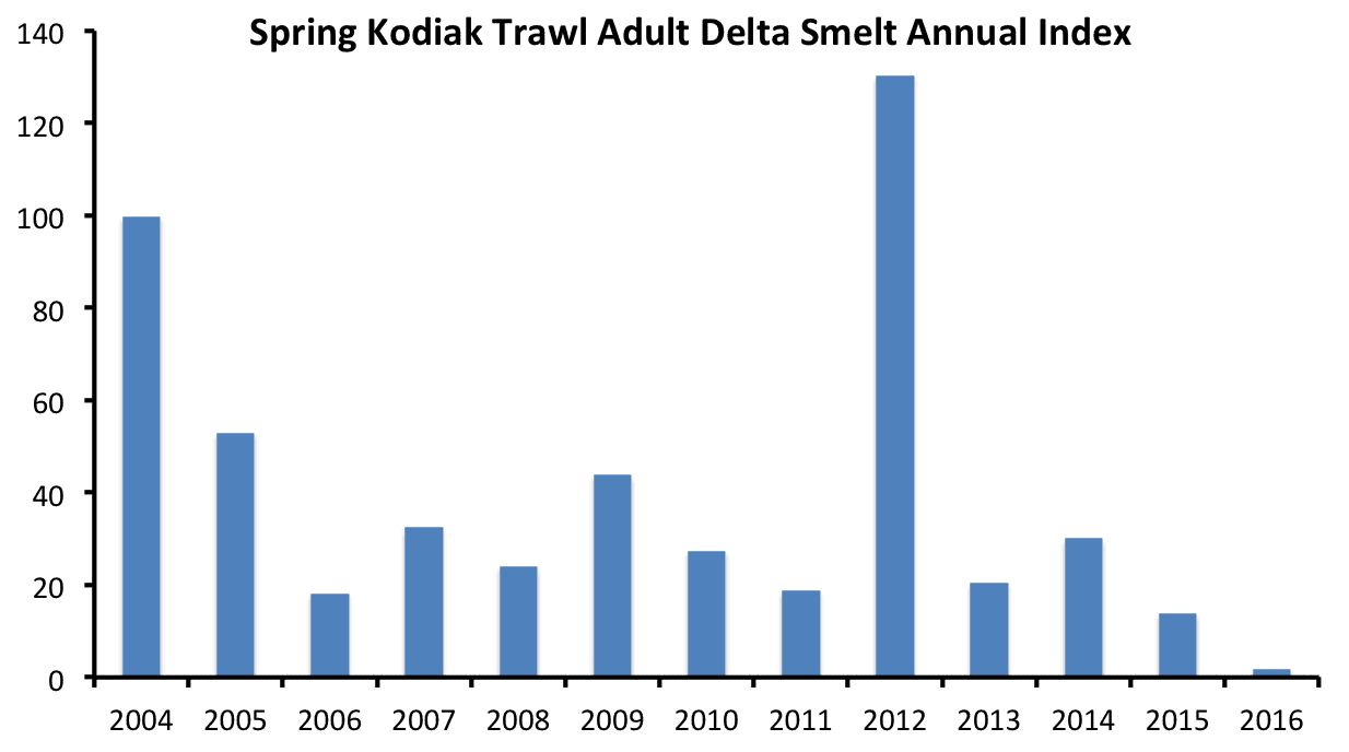 kodiak-trawl