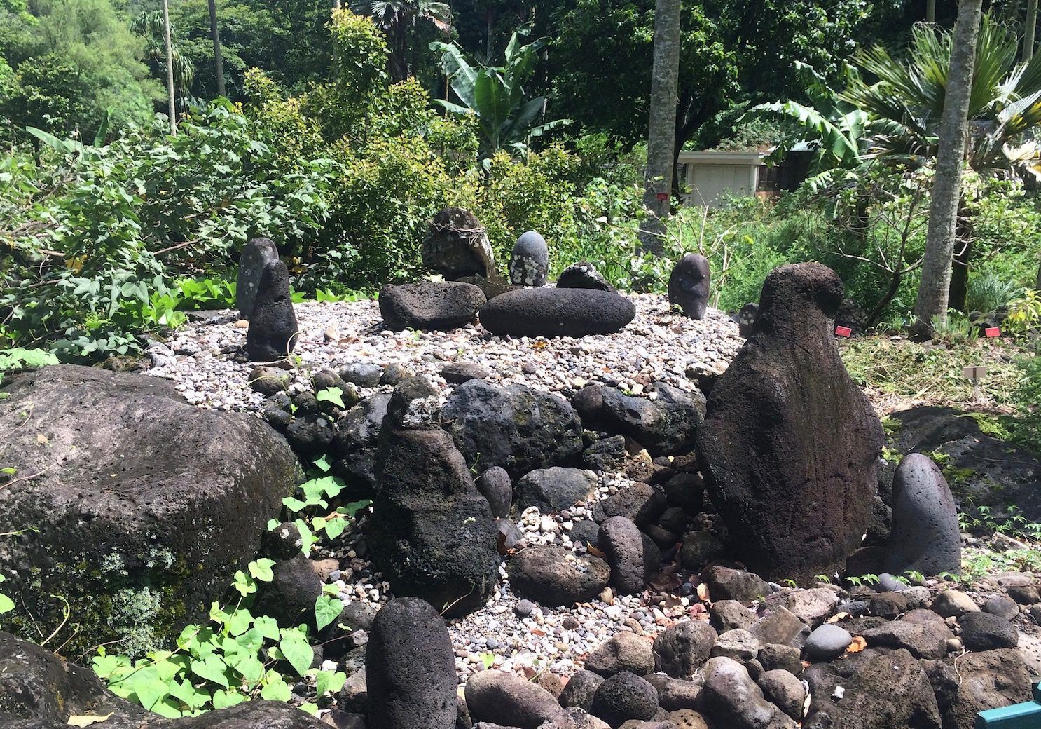 Hawaiian Fishing Shrine