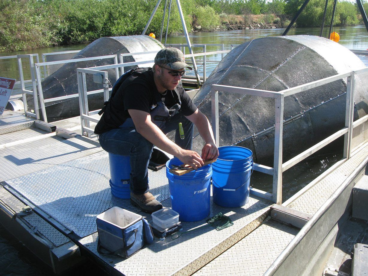 Rotary screw trap monitoring