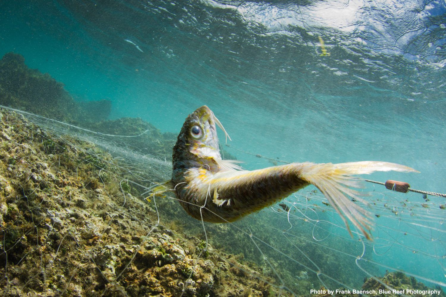 ghost fishing