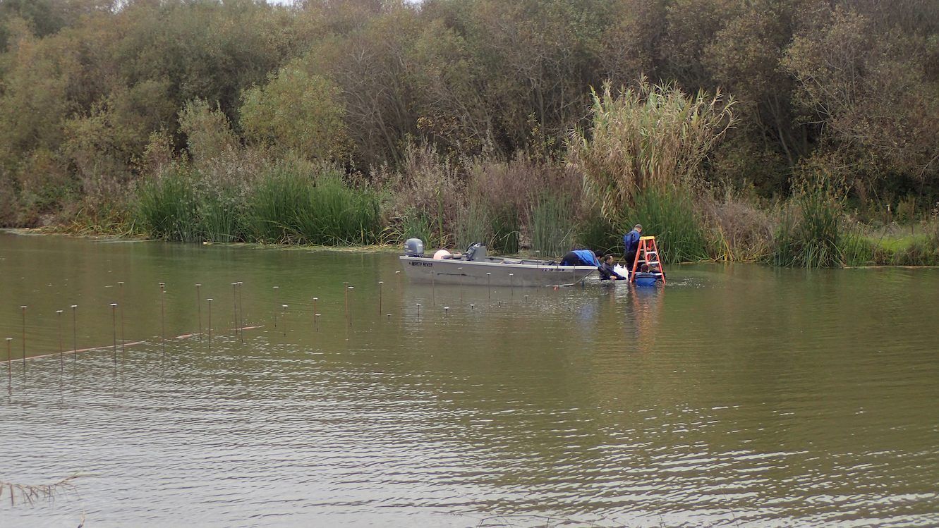 Setting up Salinas weir