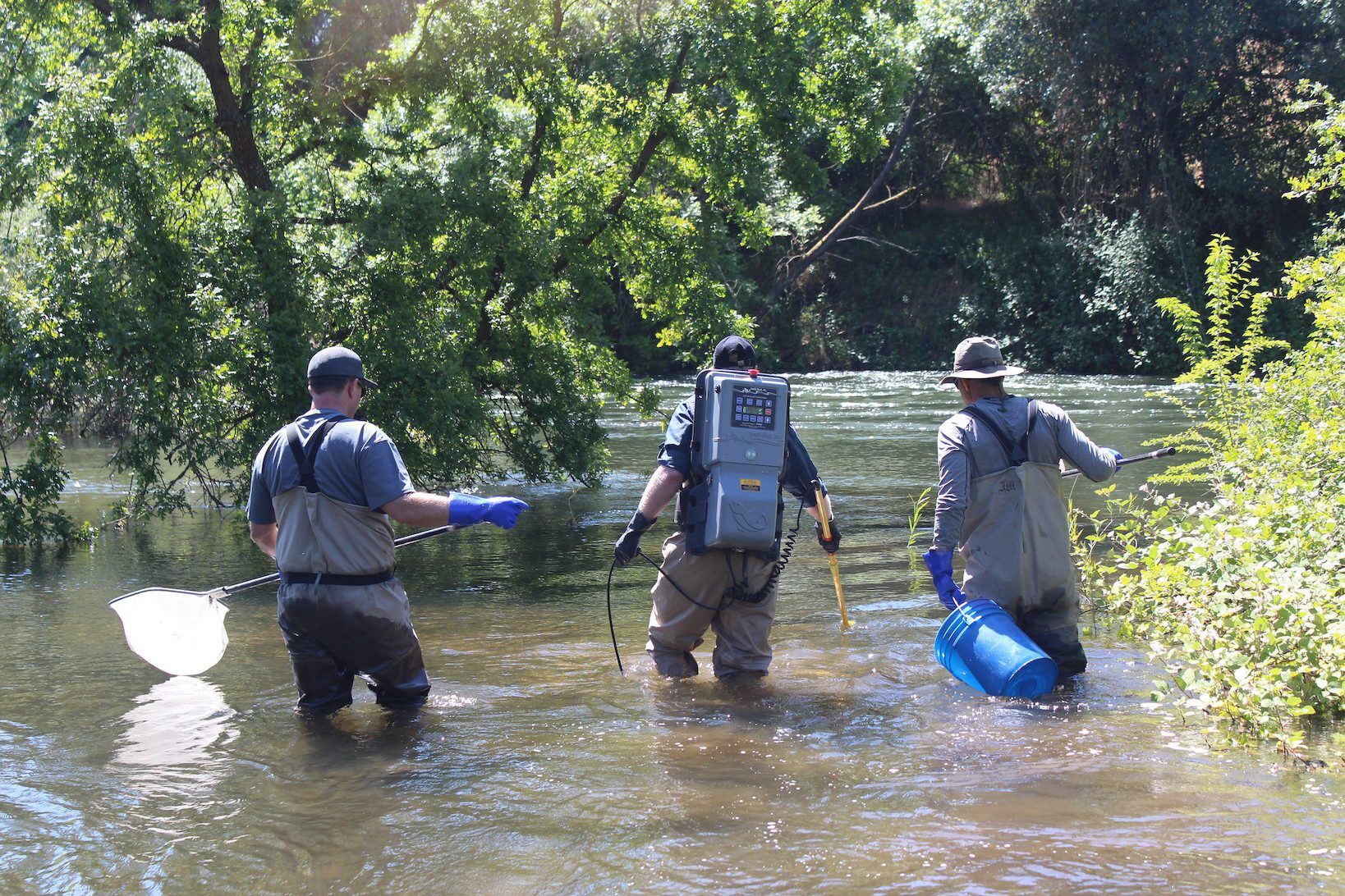 Backpack electrofishing floodplain