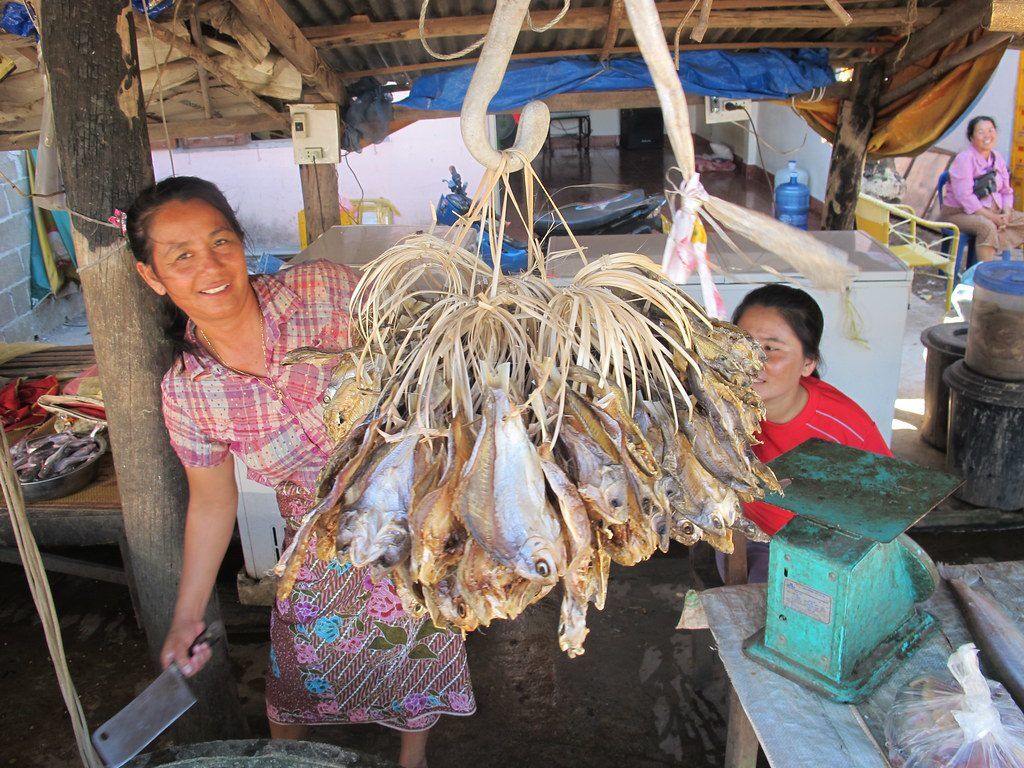 Fish For Market