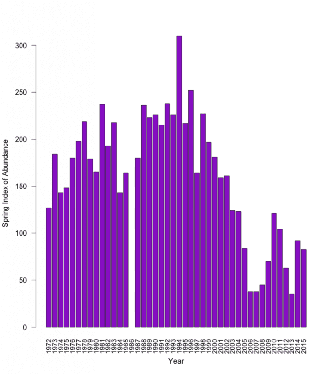 Devils Hole Pupfish Abundance Graph