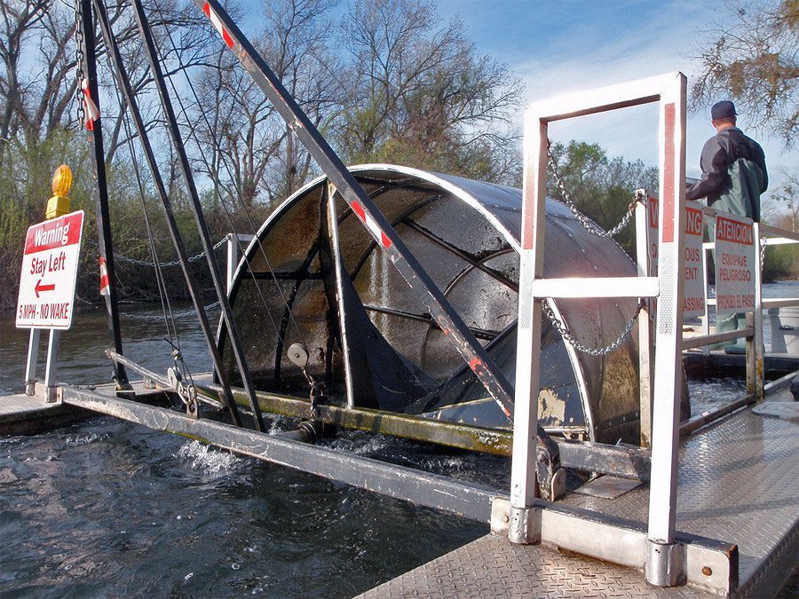Rotary Screw Trap Rotary Screw Trap collecting juvenile chinook for sampling