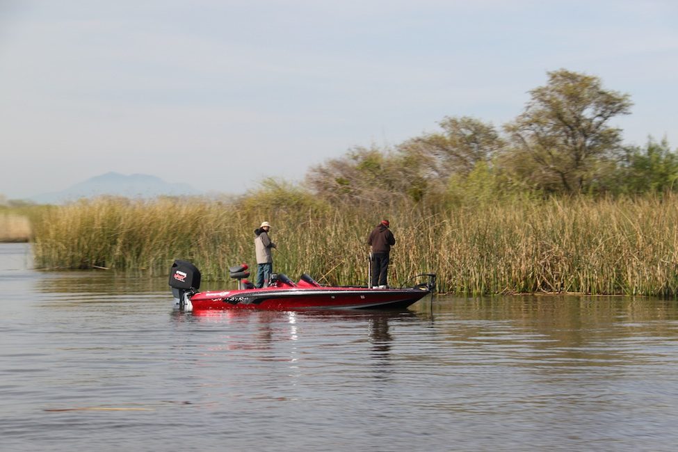 Bass Fishing
