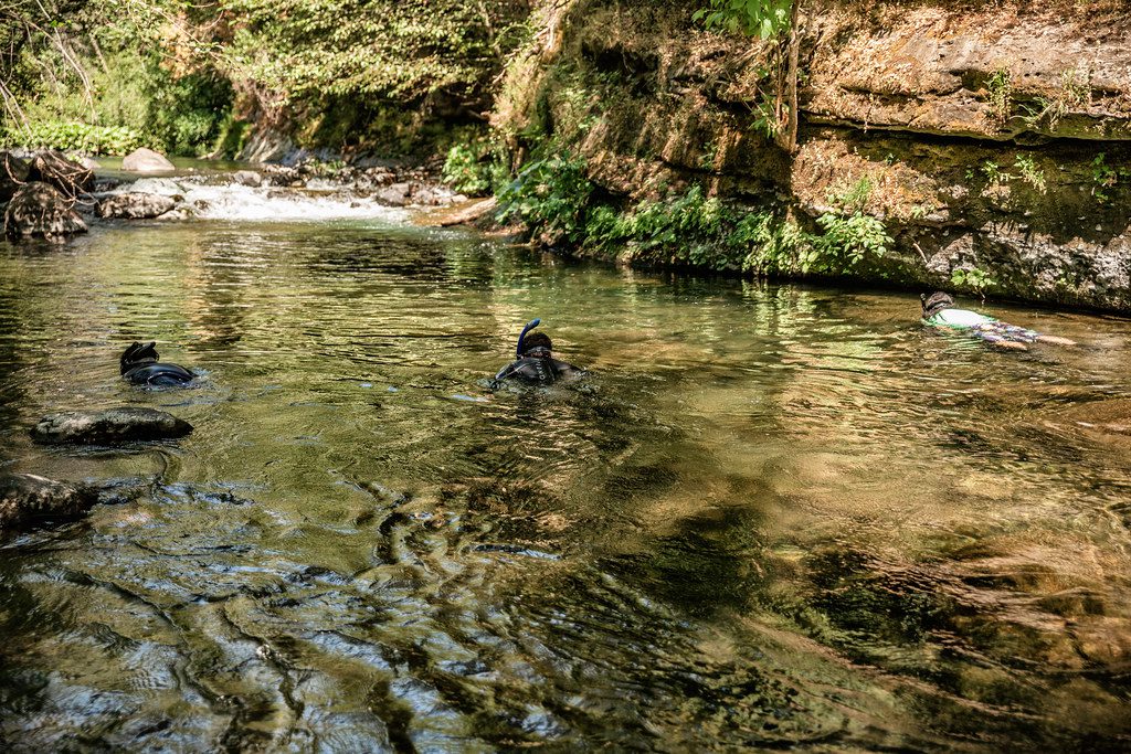 BCCER Canyon Snorkel